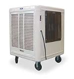 Dayton 2WMT5 Evaporative Cooler, 3600 / 2300 CFM, 120V