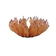 Atlantic Anemone Coral - Pink - 7 in. x 7 in. x 4 in.