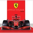 2010 Ferrari Formula 1 Calendar