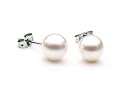 AAA Quality Round 6.5-7mm Akoya SaltWater cultured White Pearl Earrings with 18K White Gold Mount