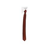 Mens Solid Skinny 2 Inch Rust Necktie Tie