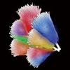 Visit This External Website