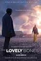 by Alice Sebold The Lovely Bones Paperback
