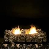 Gas Logs
