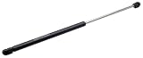 Aftermarket Hatch Strut