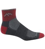 Darn Tough Vermont Merino Wool 1/4 Mesh Socks