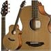 Breedlove Passport C250/CM Guitar