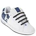 DC Shoes Kids' Court Graffik SE (White/Blk/Royal 5.0 M)