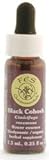 Flower Essence Services (FES) - Black Cohosh - FES Quintessentials Flower Essences 1/4 oz.