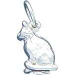 cat charms