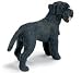   - Giant Schnauzer by Schleich