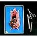 Preserved Rats (Rattus norvegicus)
