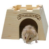 Woodland Get-A-Way - X-Large