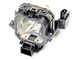 Lamp for projectors