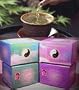 Yin Yang Healing Tea