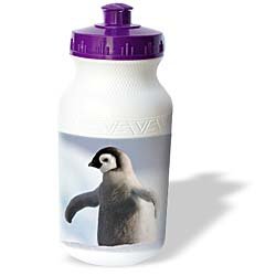 Birds - Baby Penguin - Water Bottles by