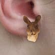 Zoo Animal - Kangaroo Figurine Jewelry - Earrings