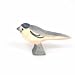 Wagtail (Ostheimer)