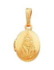 Gold Plated Oval Locket 18"