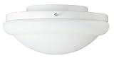 Hunter 27218 White Energy Efficient Low Profile Light Kit 21TmOwMjFTL. SL160 Hunter 27218 White Energy Efficient Low Profile Light Kit