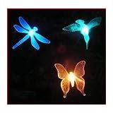 Buy 3 Piece Decorative Solar Light Set by One Stop Gardens