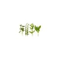 Red Hot Chilli People Mixed Herbs - 25g
