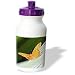 Albom Design Animals - Orange Butterfly Queensland Australia - Water Bottles