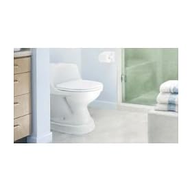 Toilevator