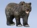Toys : grizzly bear