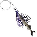 Live Ballyhoo Combo Black Purple/Black