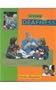 Living with Deafness (Living with (Raintree Steck-Vaughn))