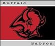 NHL Hockey Buffalo Sabres 60X50 All-Star Blanket/Throw - Fan Shop Sports Merchandise