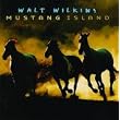 Mustang Island