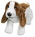 Asthma Friendly Certified Basset Hound