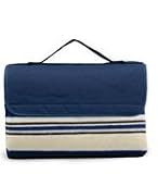 Sunshine Blanket Tote - Blue Stripe/Navy Flap
