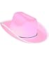 New Country Girls Pink Cowboy Cow Boy Felt Costume Hat
