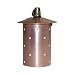 Nightscaping Lighting TS-0302 Twinkler Outdoor Pendant