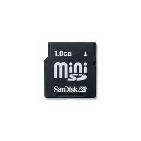 Samsung C450. 1Gb Mini Sd Memory Card