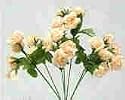 Mini Rose Bush-Peach