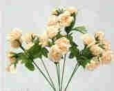 Mini Rose Bush-Peach