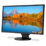 NEC 24-Inch LED-Backlit Desktop Monitor with Integrated Speakers (EA243WM-BK)