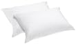 Aller-Ease Cotton Allergen Barrier Standard Pillow Cover, Set of 2