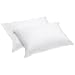 Aller-Ease Cotton Allergen Barrier Standard Pillow Cover, Set of 2