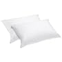 Aller-Ease Cotton Allergen Barrier Standard Pillow Cover, Set of 2