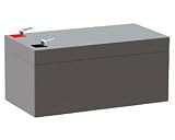 12 Volt 3.3amp Sealed Lead Acid Maintenance Free Replacement Battery : Yuasa Topin Panasonic PICHER BATTERIES CF12V26S1 CFM12V3 CFM12V3(OPTION) CHK DIM ELK BATTERIES ELK1233 ELS EDS1230 ELSAR 16242 23022 23024 23062 EMPIRE 12 VOLTS @ 3.4 AH ESCO 3100038 FIRE LITE LC12V26 GILBARCO GT016T4 Q1195501 GS PORTALAC PE3A12R PE3A12RF1 GUARDIAN DOUGLAS BATTERIES and many more 134mm x 67mm x 61mm and many more