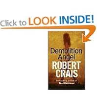 Demolition Angel