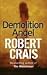 Demolition Angel