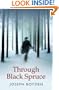 Through Black Spruce