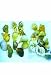 Florida Marine Research Hermit Crab Shell - Medium (12pc Bulk Ba