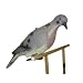 Expedite Decoy Clip-on Dove Md: 81418-5
